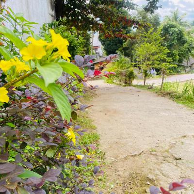 Whatsapp Image 2024 08 26 At 10.03.55 Am 17