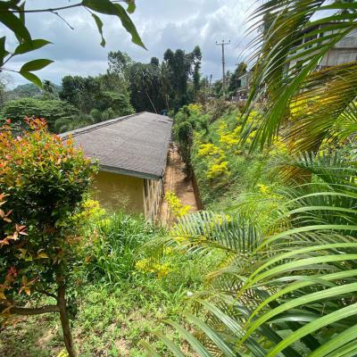 Whatsapp Image 2024 09 18 At 5.21.15 Pm