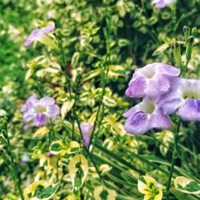 Whatsapp Image 2024 09 19 At 5.56.35 Pm