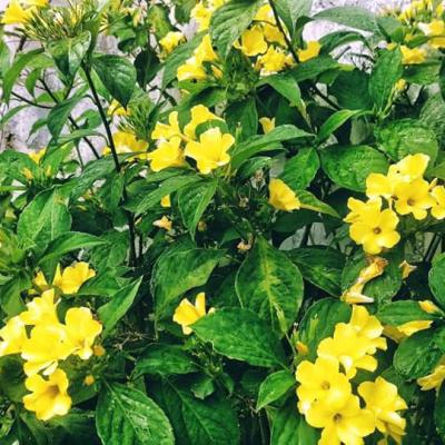 Whatsapp Image 2024 09 19 At 5.56.46 Pm