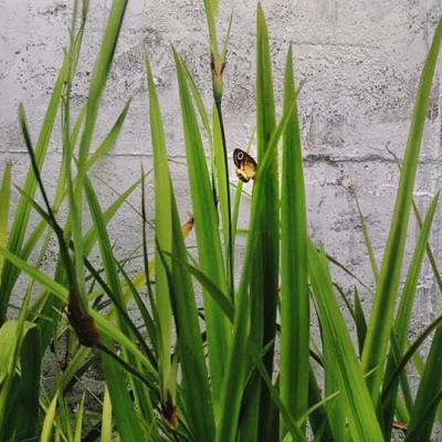 Whatsapp Image 2024 09 19 At 5.56.58 Pm