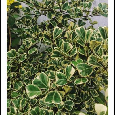 Whatsapp Image 2024 09 19 At 5.57.10 Pm