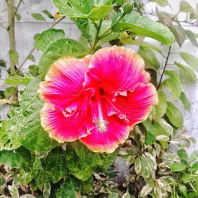 Whatsapp Image 2024 09 19 At 5.57.25 Pm