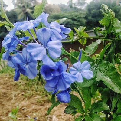 Whatsapp Image 2024 09 19 At 5.57.45 Pm