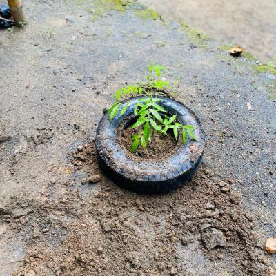 Whatsapp Image 2024 09 18 At 5.08.31 Pm